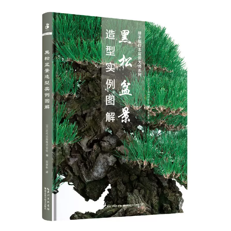 黑松花盆 新人首单立减十元 21年11月 淘宝海外