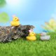 Moss micro-landscape ornaments, couple ducks, dolls, DIY assembled ornaments, bonsai, novel creative handcrafts