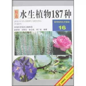 赵水生 新人首单立减十元 22年7月 淘宝海外