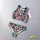 Amber single children's swimsuit girls split fresh printed baby small medium and large children's triangle bikini set