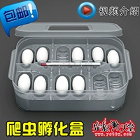 Инкубационная коробка кафе инкубатор черепах Shougong Mornea Pet Pets Pets Snake Leopard Candid Candid Gaga Crane Egg Estate
