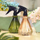 Cangqiang spray bottle hand-pressed small ultra-fine mist spray bottle for watering flowers household cleaning and disinfection hairdressing spray bottle