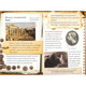 Oxford Reading Tree 10-12 levels 11-13 advanced English graded reading picture books 18 volumes 7-12 years old children's book chapter book novel original English import