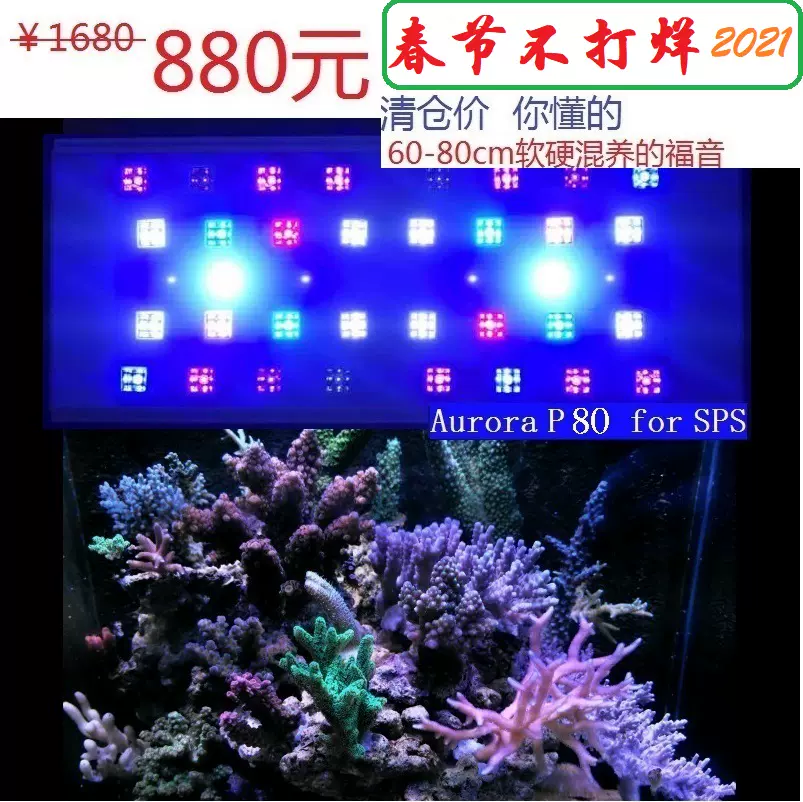 Aurora P80智能led海水燈100瓦硬骨珊瑚燈sps Lps軟硬