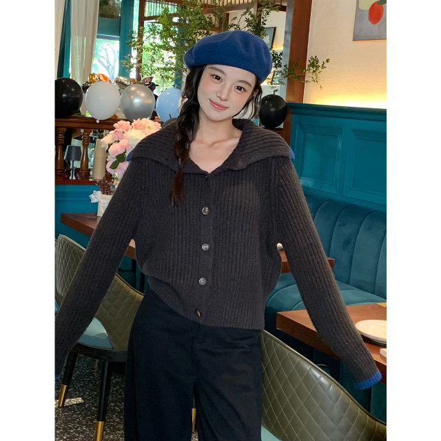 I give the design sense of autumn and winter, thickened lapel sweater for women, a versatile loose long-sleeved lazy style top