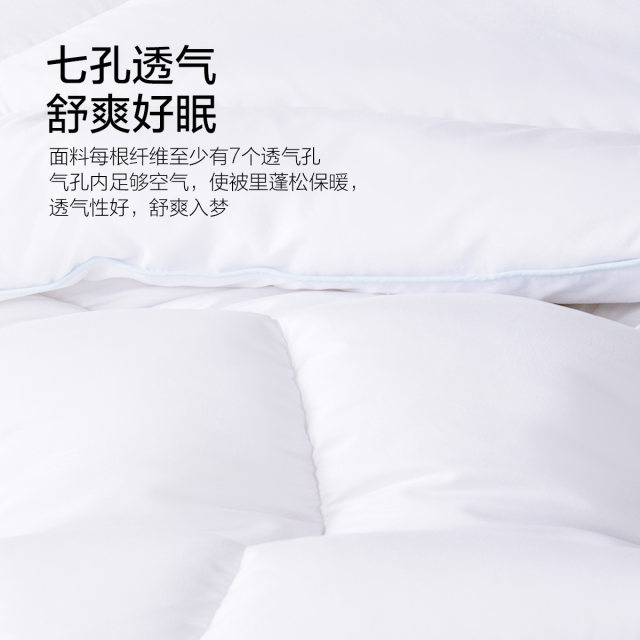 Mercury Home Textiles Winter Quilt Dormitory Single Warm Quilt Winter Quilt Core Two-in-One Quilt Bedding for All Seasons