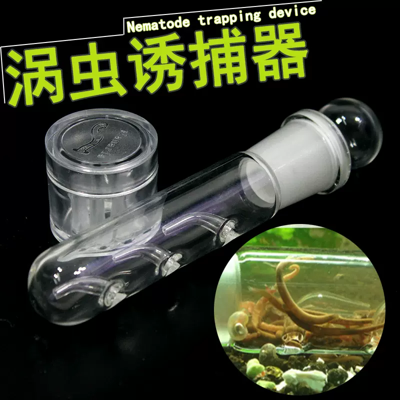 除涡虫线虫水蛭捕捉器鱼缸物理捉虫水草缸除虫器