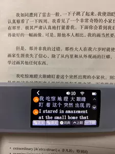 图翻译 Top 1000件图翻译 22年11月更新 Taobao