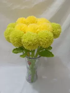 乒乓菊花束 新人首单立减十元 22年10月 淘宝海外 乒乓菊花束 新人首单立减十元 22年10月 淘宝海外