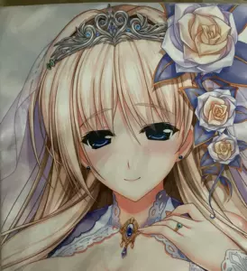 少女骑士物语抱枕 新人首单立减十元 22年5月 淘宝海外 少女骑士物语抱枕 新人首单立减十元 22年5月 淘宝海外