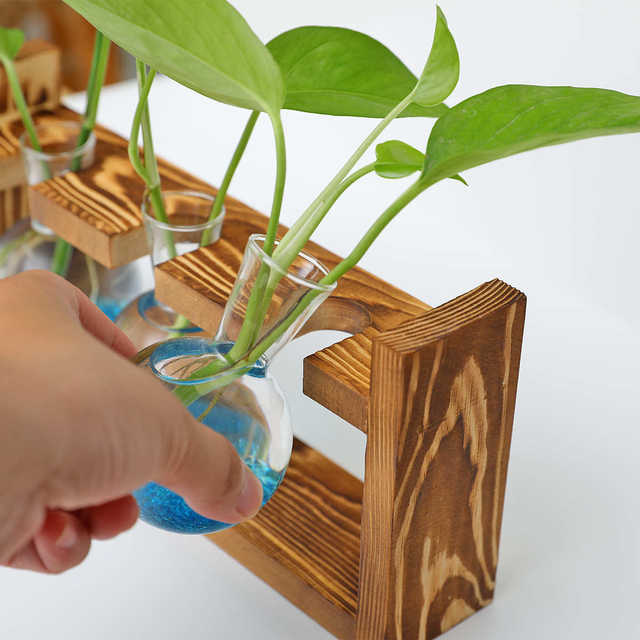 Creative wooden frame hydroponic glass vase green dill water-cultured plant flower device office home gardening desktop display decoration