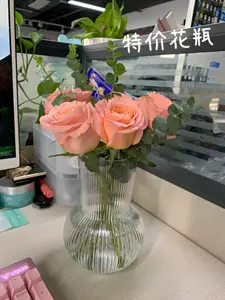 Ikea花 新人首单立减十元 22年6月 淘宝海外