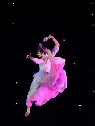 传统舞蹈画 新人首单立减十元 22年2月 淘宝海外