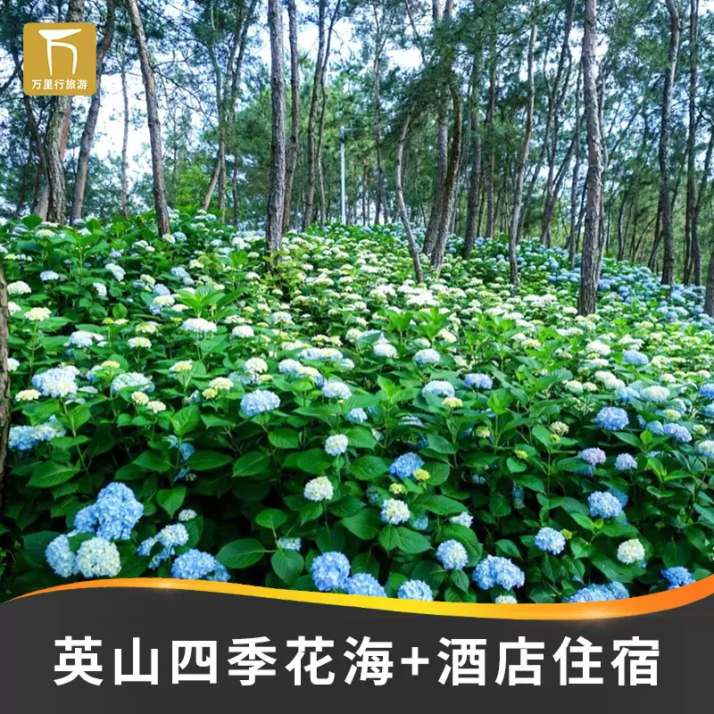英山四季花海门票 景区内九龙湾 养心苑酒店 华美
