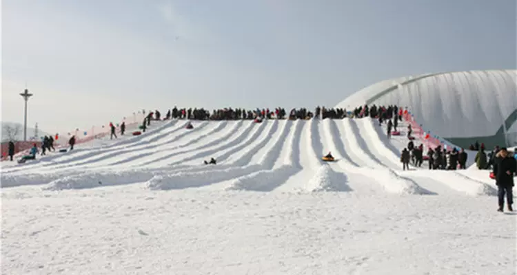 蓝鲸戏雪乐园图片