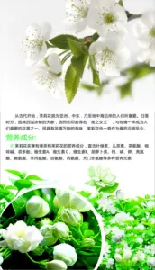 苿莉花茶叶 新人首单立减十元 22年8月 淘宝海外