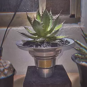 块根盆手工 新人首单立减十元 22年4月 淘宝海外