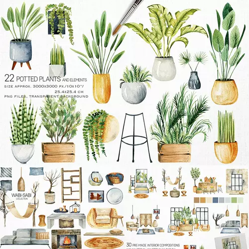 水彩画绿植 新人首单立减十元 22年1月 淘宝海外