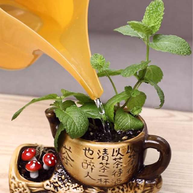 Japan imported watering kettle with long mouth and scale for watering flowers, household gardening succulent tip, sprinkling watering vegetable measuring cup