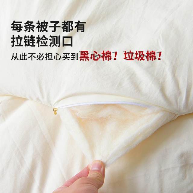 Raw cotton soybean quilt thickened warm winter quilt pure cotton quilt core pure cotton spring and autumn quilt four seasons universal dormitory single