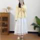 Korean style lace lace puffy skirt A-line white super fairy long skirt in autumn and winter sweet slim big umbrella skirt for women