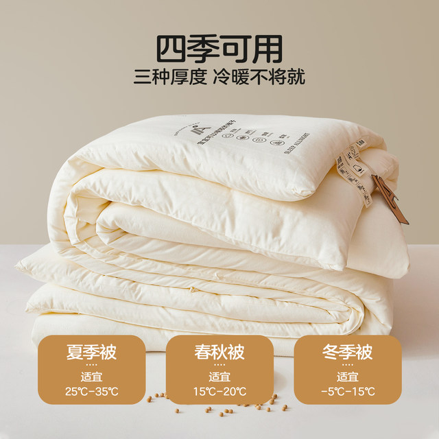Hengyuanxiang's new type A jacquard soybean quilt core spring and autumn quilt all-season quilt warm student dormitory quilt