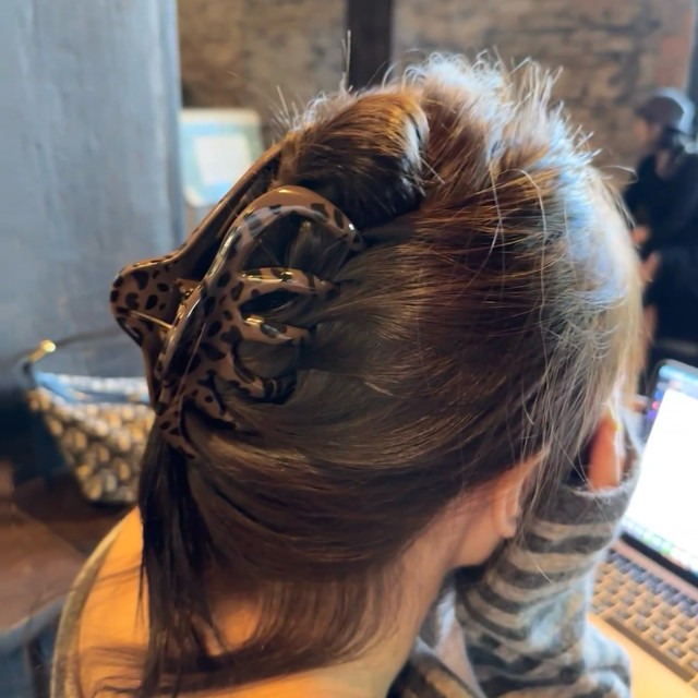 
Korea's new autumn and winter style leopard print clip, high-end large-scale hairpin shark clip design hair accessory for the back of the head