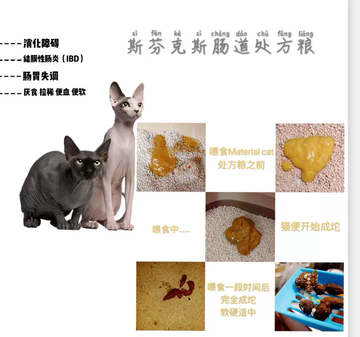 加拿大无毛猫-新人首单立减十元-2021年11月淘宝海外