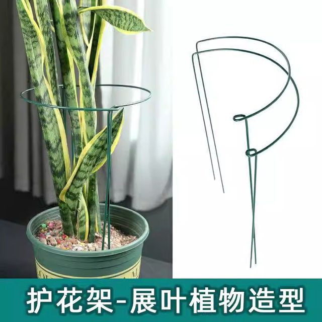 Flower support frame Money tree plant semicircular flower bracket anti-looping support rod Monstera tiger skin orchid leaf protection frame
