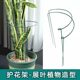 Flower support frame Money tree plant semicircular flower bracket anti-looping support rod Monstera tiger skin orchid leaf protection frame