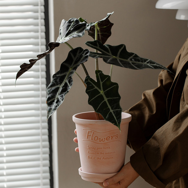 Retro handmade breathable plain-fired simple coarse pottery pots with succulent Internet celebrity green plants colorful leaf taro pots creative red pottery flower pots