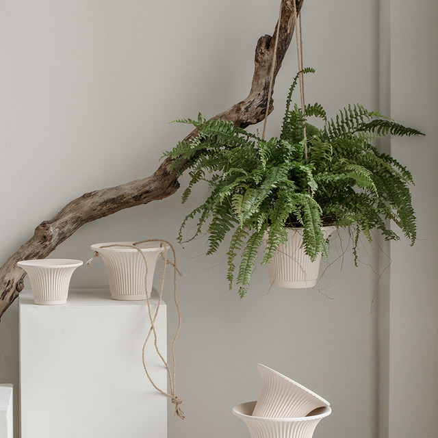 Export simple creative personality large-diameter cement flower pot Internet celebrity green plant potted green radish succulent wabi-sabi flower pot