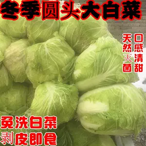 白菜北 新人首单立减十元 22年3月 淘宝海外