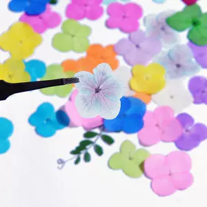 紫阳花配件 新人首单立减十元 22年5月 淘宝海外