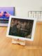 Mobile phone stand wooden cartoon mobile phone stand iped tablet lazy mobile phone stand cute simple desktop charging stand