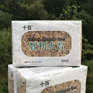 水苔 新人首单立减十元 22年10月 淘宝海外