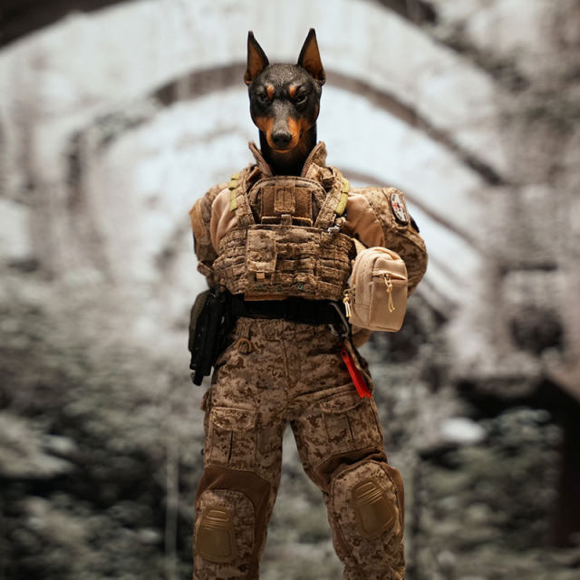 Spot Mostoys 1/6 Doberman animal head carving suit thug model movable with soldier doll ornaments