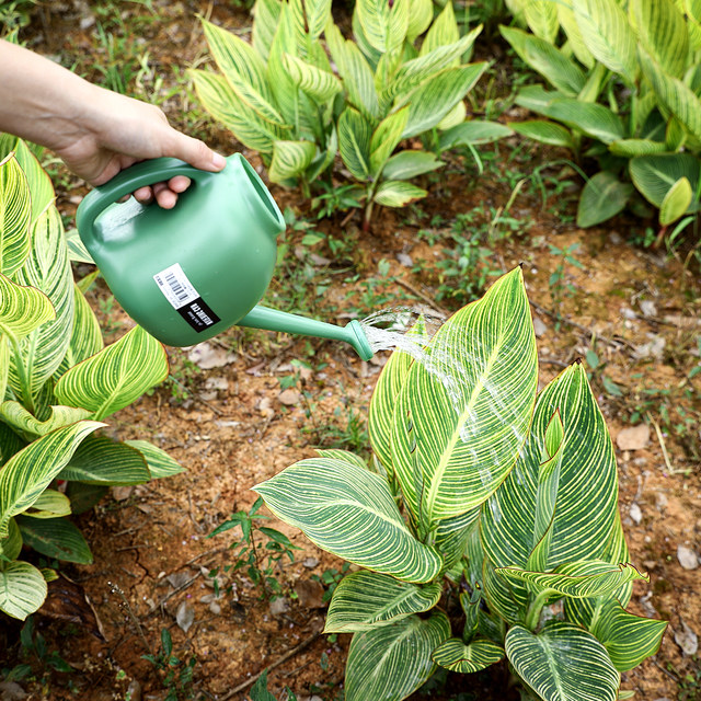 
Japanese watering kettle for watering flowers and protecting kettles for gardening and watering kettles for household long-mouth potted plant watering kettles for watering flowers.