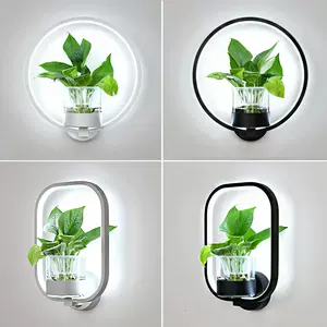 水培灯 新人首单立减十元 22年8月 淘宝海外