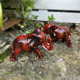 Resin elephant ornaments home decoration living room entrance crafts TV cabinet wine cabinet to attract wealth and auspicious decorations