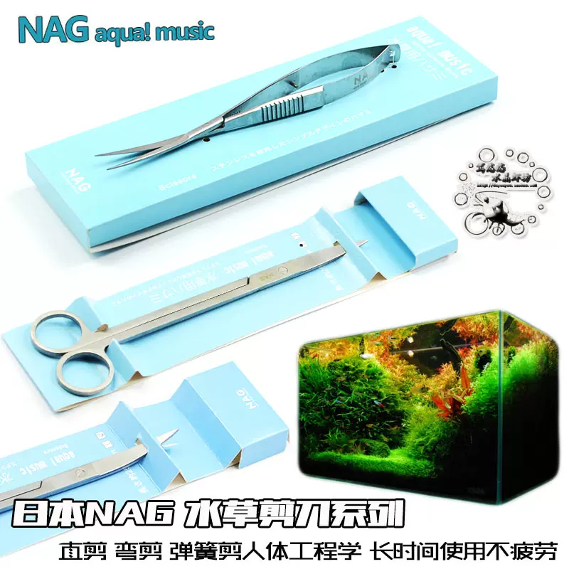 水草牛毛草 新人首单立减十元 21年11月 淘宝海外