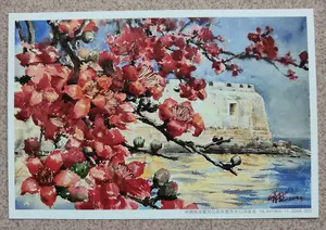 木綿花 新人首單立減十元 22年6月 淘寶海外