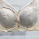 Ultra-thin mango cup bra for women BC cup soft steel ring gathering upper support anti-sagging secondary breast lace underwear 25003