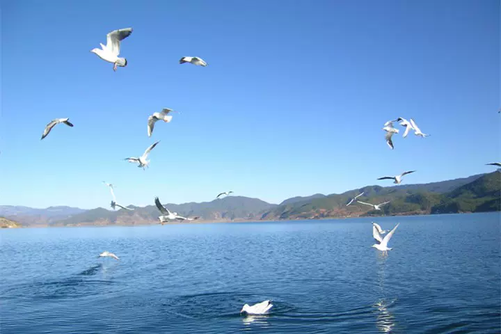 青海湖仙女湾景区