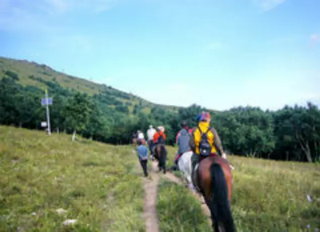 七星山骑士山庄图片