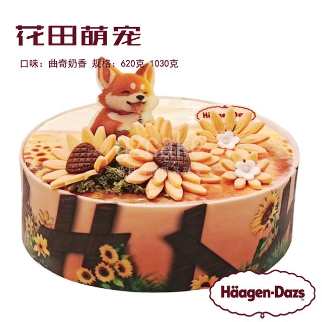 Häagen-Dazs Flower Field Cute Ice Cream Birthday Cake Ice Cream Delivered to Your Doorstep from a Specialty Store in the Same City