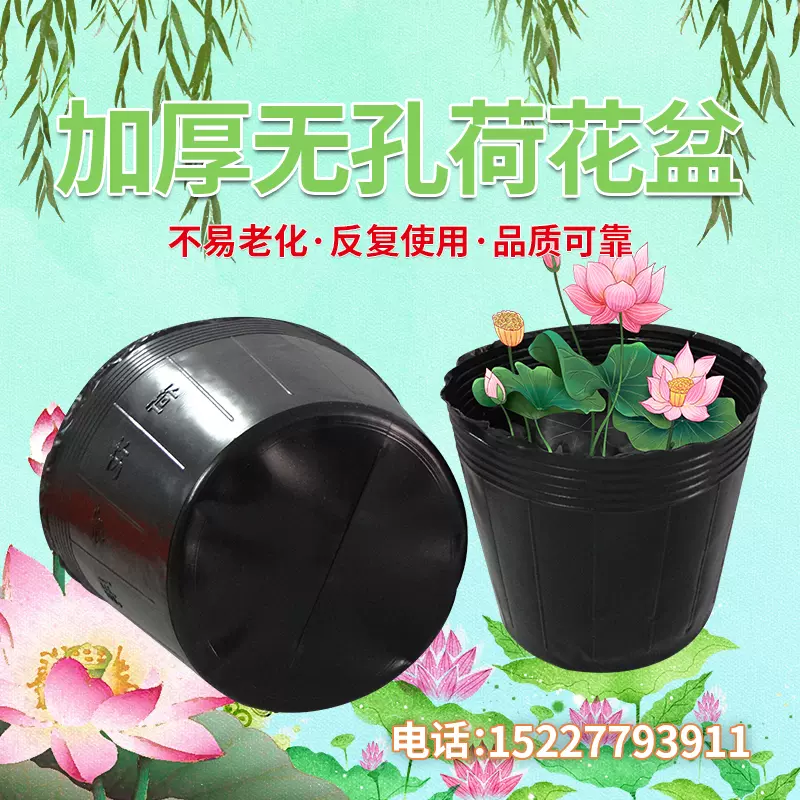 荷花盆加厚一次性黑色塑料无孔碗莲盆水生植物育苗