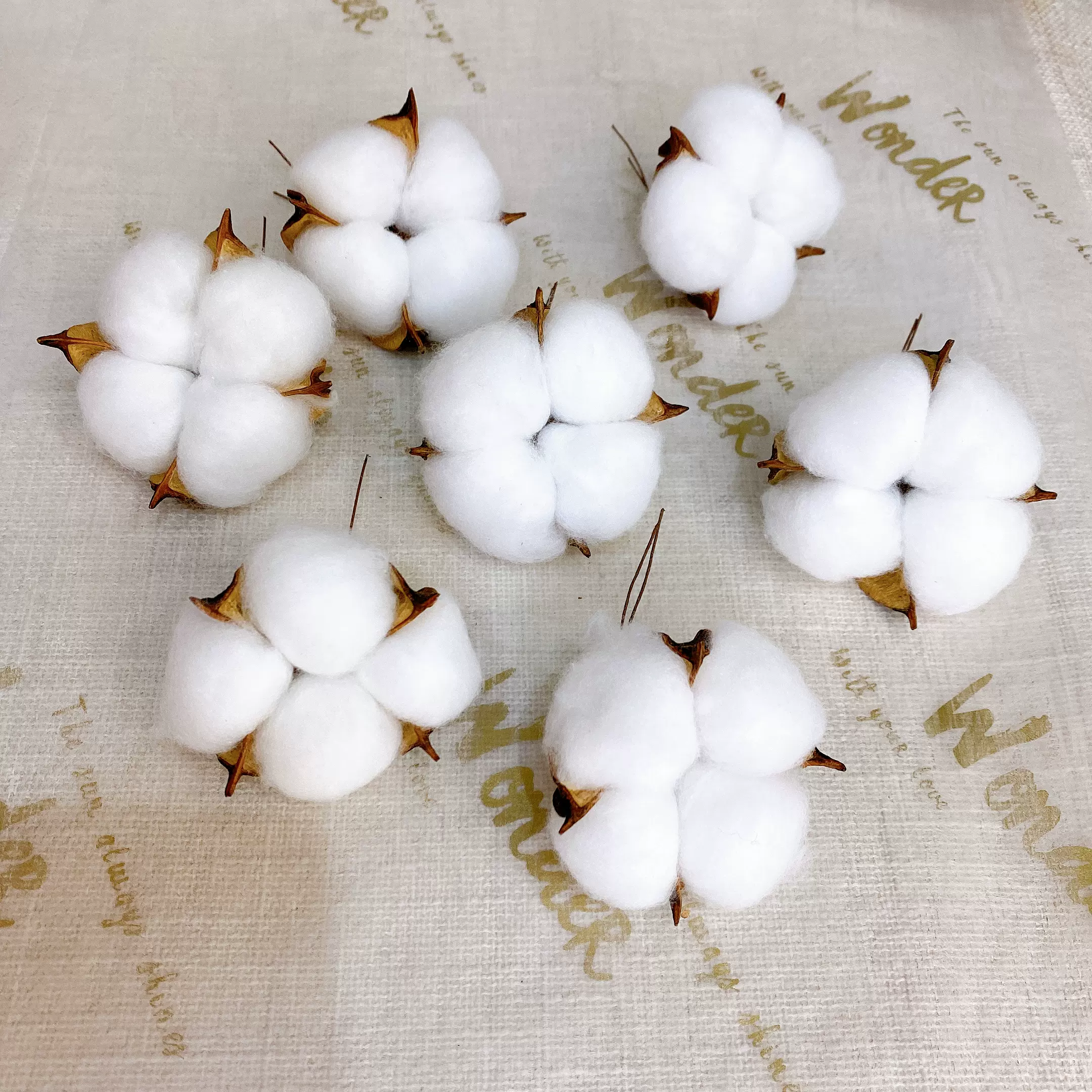 天然幹棉花真棉花頭乾燥花樹枝永生花diy花束擺件蛋糕裝飾