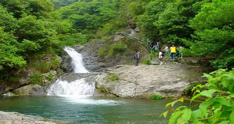 野鹤湫图片