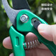 Japanese ECHO gardening scissors, garden pruning scissors, fruit tree pruning branches, floral scissors, household bonsai flower scissors